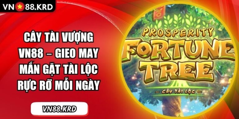 Cây Tài Vượng VN88 – Gieo May Mắn Gặt Tài Lộc Rực Rỡ Mỗi Ngày 4 Cây Tài Vượng